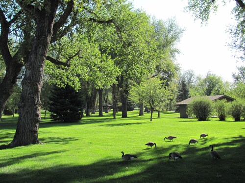 Clean home, walking distance to many businesses—close to downtown!