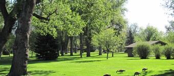 Clean home, walking distance to many businesses—close to downtown!