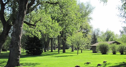 Clean home, walking distance to many businesses—close to downtown!