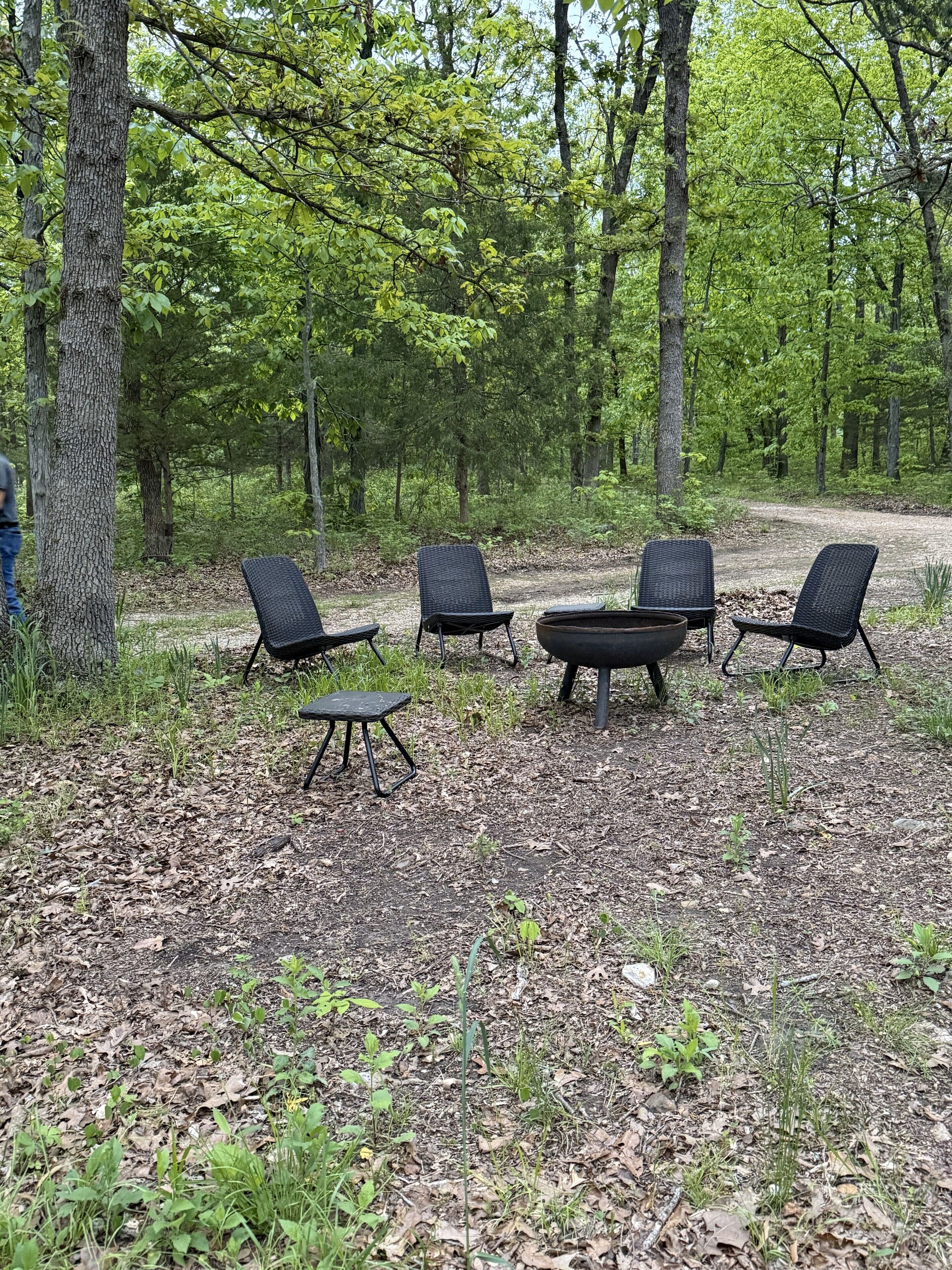 An outdoor seating area with four chairs and a table, surrounded by trees and natural ground cover.