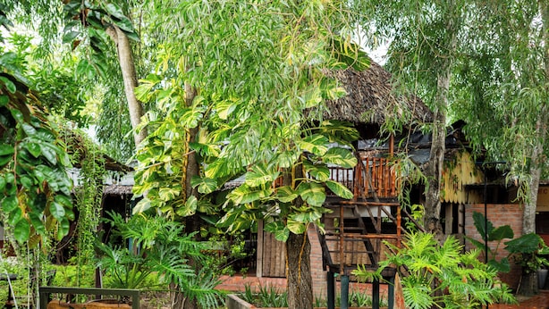 A rustic building surrounded by lush greenery, a wooden sign with text, and a brick pathway. - Bình An Village (Phuoc Hau)