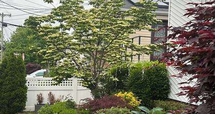 Charming 1-bedroom with WiFi and central AC in Brooklyn