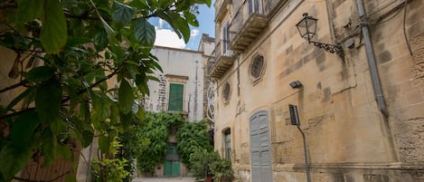 A narrow cobblestone street flanked by historic buildings with green shutters and a potted plant.