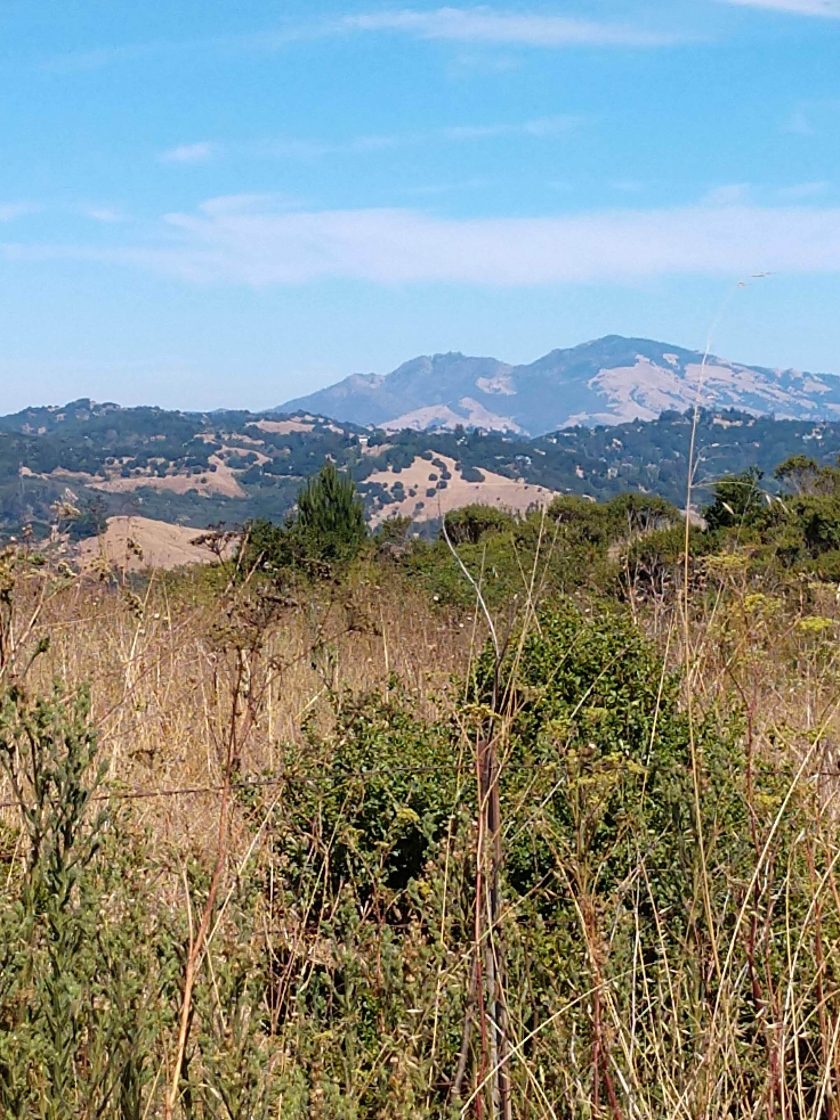 Un paisaje natural con colinas onduladas y vegetación escasa.