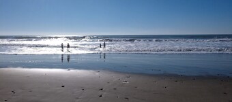 Chic 4 rm 1 bed retreat, No Berkeley area, WiFi, private deck, near UC, nature,