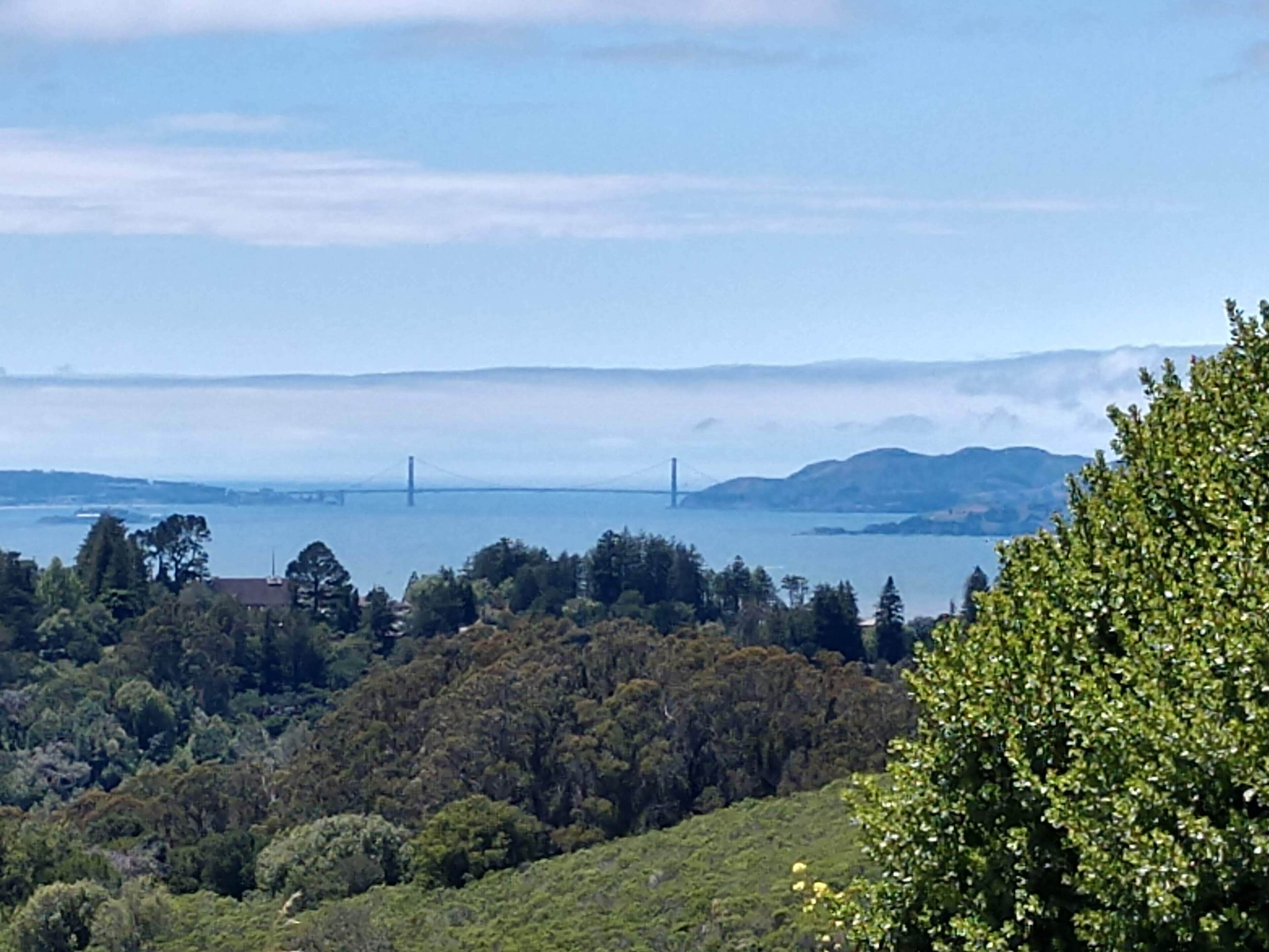 Un paysage côtier avec un pont à l’horizon, entouré d’une forêt dense et de collines.
