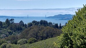 A coastal landscape with a bridge in the distance, surrounded by dense forest and hills. - Chic 4 rm 1 bed retreat, No Berkeley area, WiFi, private deck, near UC, nature, (Kensington)