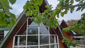 Front of property - Blackbird Cottage Bhimtal (Tallital Bhimtal)