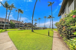 Property grounds - Spacious Direct Oceanfront 3BD Condo - Kahana Village 31 (Lahaina)