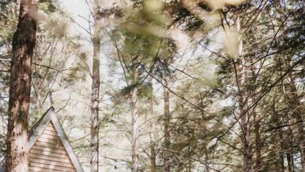 Une cabane en bois avec une terrasse, un espace salon extérieur et des toilettes portables, située dans une forêt.