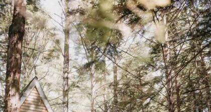 THE LILLIPAD.Off-grid A frame. Sebago lake region!