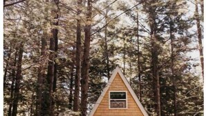 Une petite cabane triangulaire en bois, entourée d’une forêt dense.