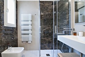 Shower, hair dryer, bidet, towels