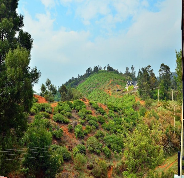 Vue depuis l’hébergement