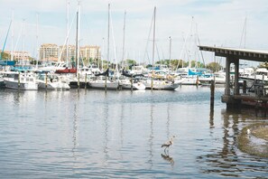 Marina - Beachfront Studio w/ Kitchenette & Ocean Access (Treasure Island)