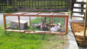 A fenced enclosure with a wooden structure, a rabbit, and a white object. - Stallon apartment with balcony (Nostra)