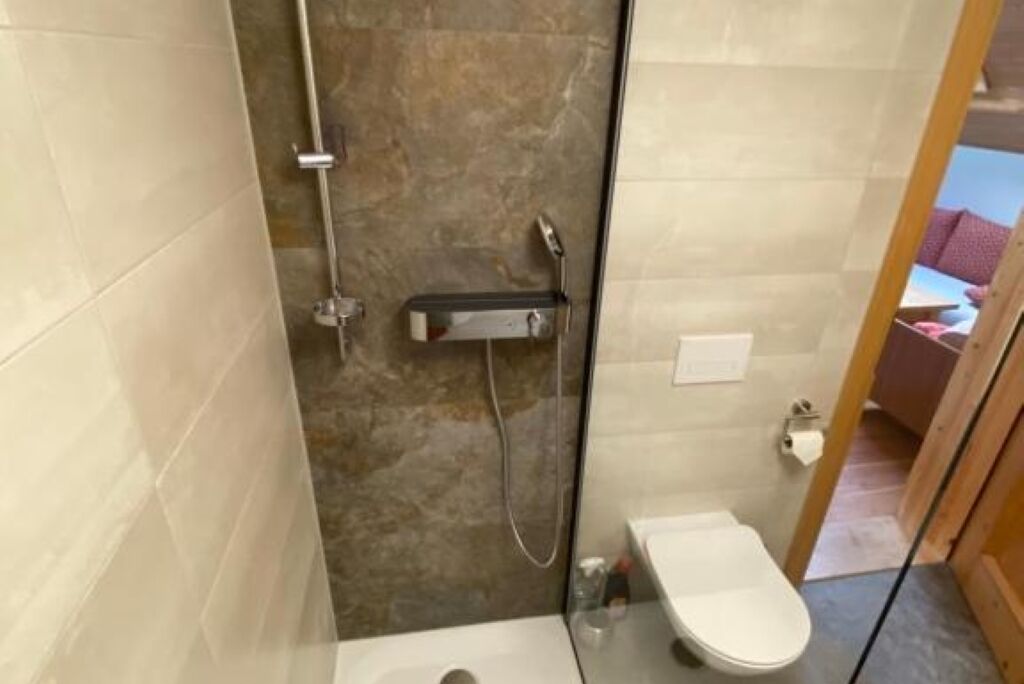 Shower, hair dryer, towels, toilet paper