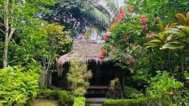 A lush garden with a thatched-roof structure, surrounded by dense foliage and a variety of plants. - Villa Kamila Senggigi By Villaloka (Senggigi)