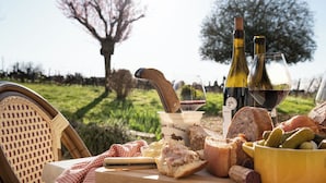 Een picknick met eten, wijn en een stoel in een grasrijk gebied.