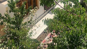 Un edificio de dos pisos con ventanas amplias, un balcón y plantas en macetas.