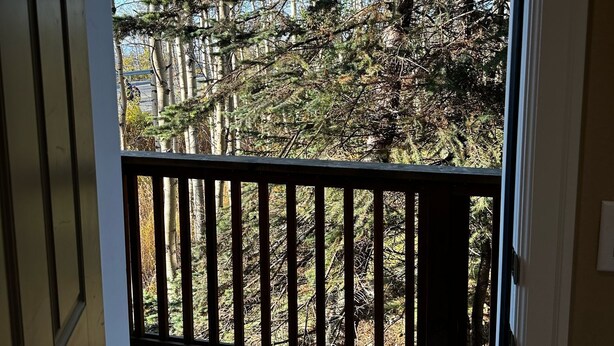 Une terrasse en bois avec une rambarde noire, qui mène à une zone boisée où se dressent de grands arbres, sous un ciel bleu dégagé.