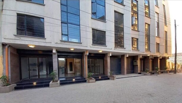 Un edificio moderno con fachada plana, ventanas amplias y un área de entrada pavimentada con escalones y plantas en macetas.