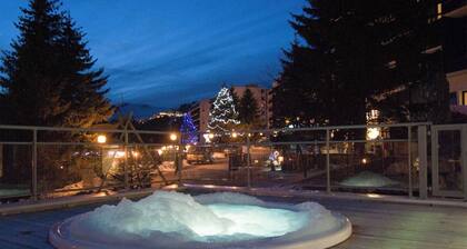 Appart 8p, accès direct aux pistes, jacuzzi commun