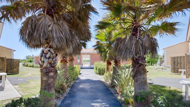 A pathway flanked by palm trees leading to a building with a red roof. - Maison Cosy + Piscine Extérieure Chauffée (Colombiers)