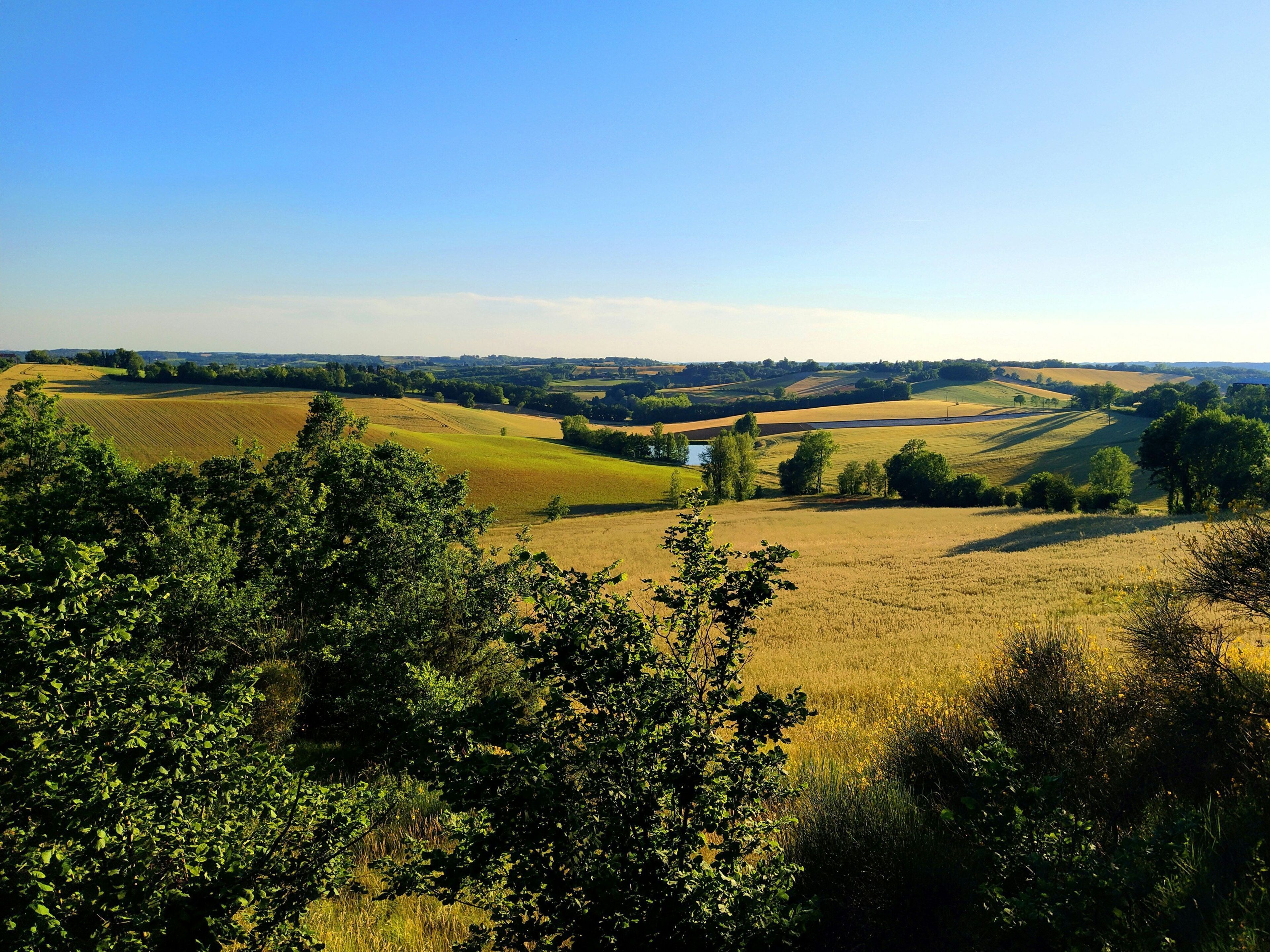 A rural landscape with rolling hills, a small building, and dense greenery.