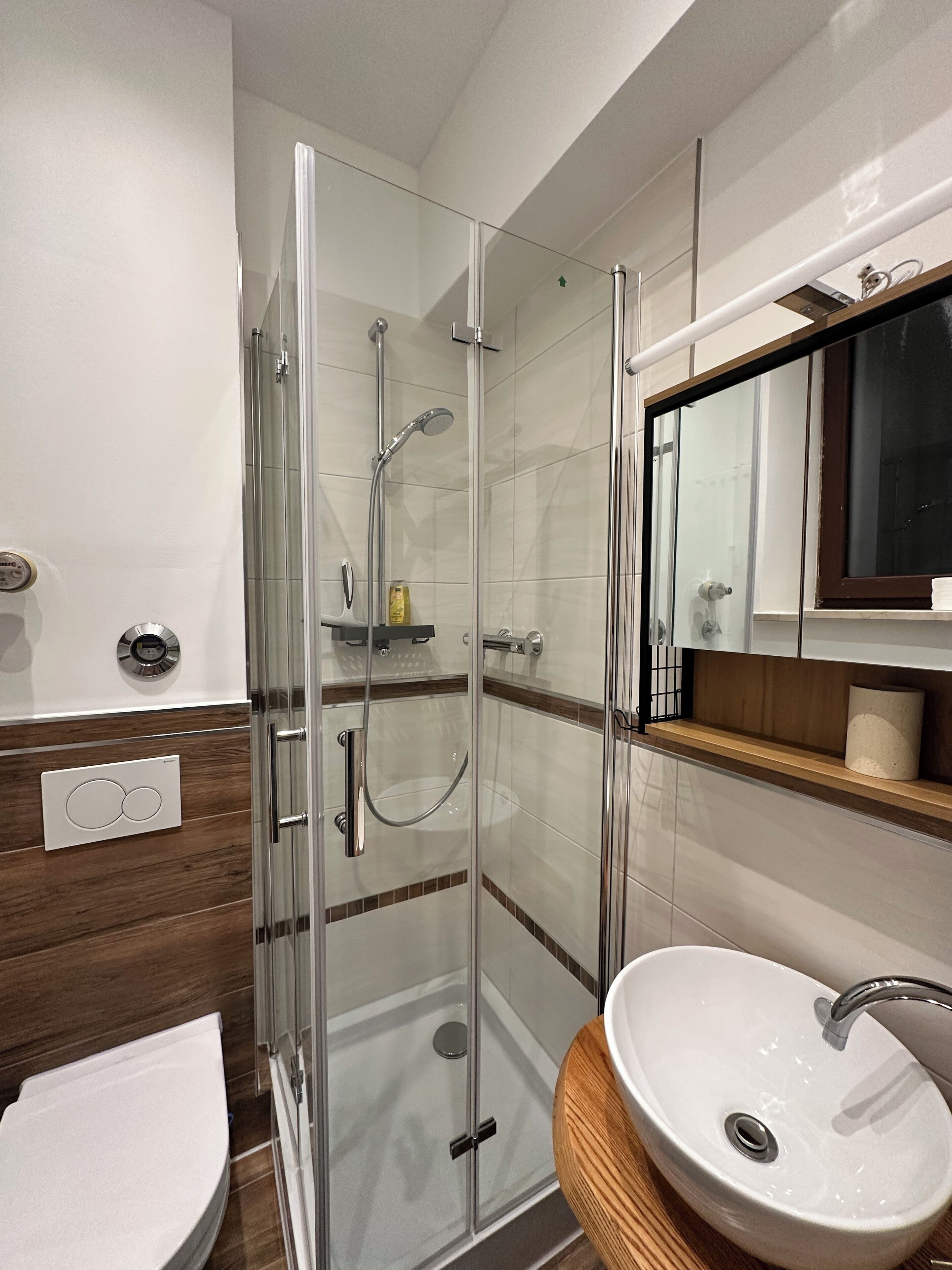 Shower, towels, soap, toilet paper