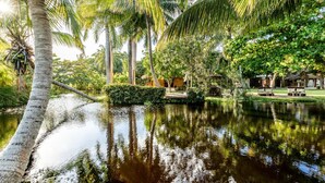 Property grounds - Beach Lover Comfort Room with Extra Bed (Cabarete)
