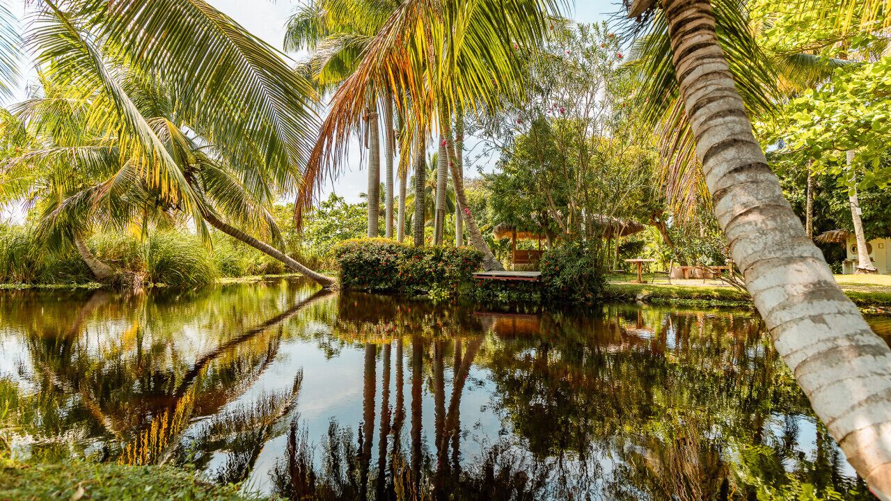 Terrein van de accommodatie