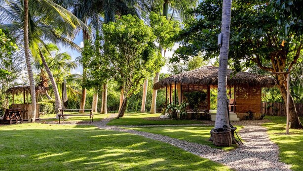Un jardín tropical con una estructura de techo de paja, palmeras y un camino de grava.