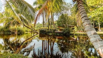 Overnattingsstedets uteområder