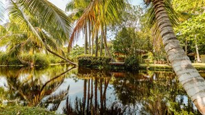 Property grounds - Soul Searcher · Soul Searcher Double room with lagoon view (Cabarete)