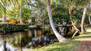 Property grounds - Soul Searcher · Soul Searcher Double room with lagoon view (Cabarete)