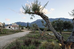 Áreas de la propiedad