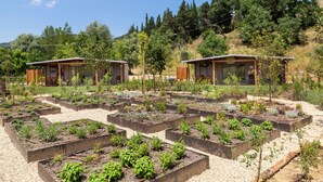 A garden with raised beds and small wooden structures, likely guest rooms, surrounded by trees and hills. -  Palagina Il Borgo Agricolo (Figline e Incisa Valdarno)