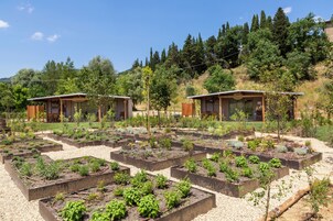 Un jardín con bancales elevados y pequeñas estructuras de madera, presumiblemente habitaciones para huéspedes, rodeado de árboles y colinas.