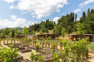 Un entorno rural con varias cabañas pequeñas rodeadas por un jardín con bancales y diversas plantas.