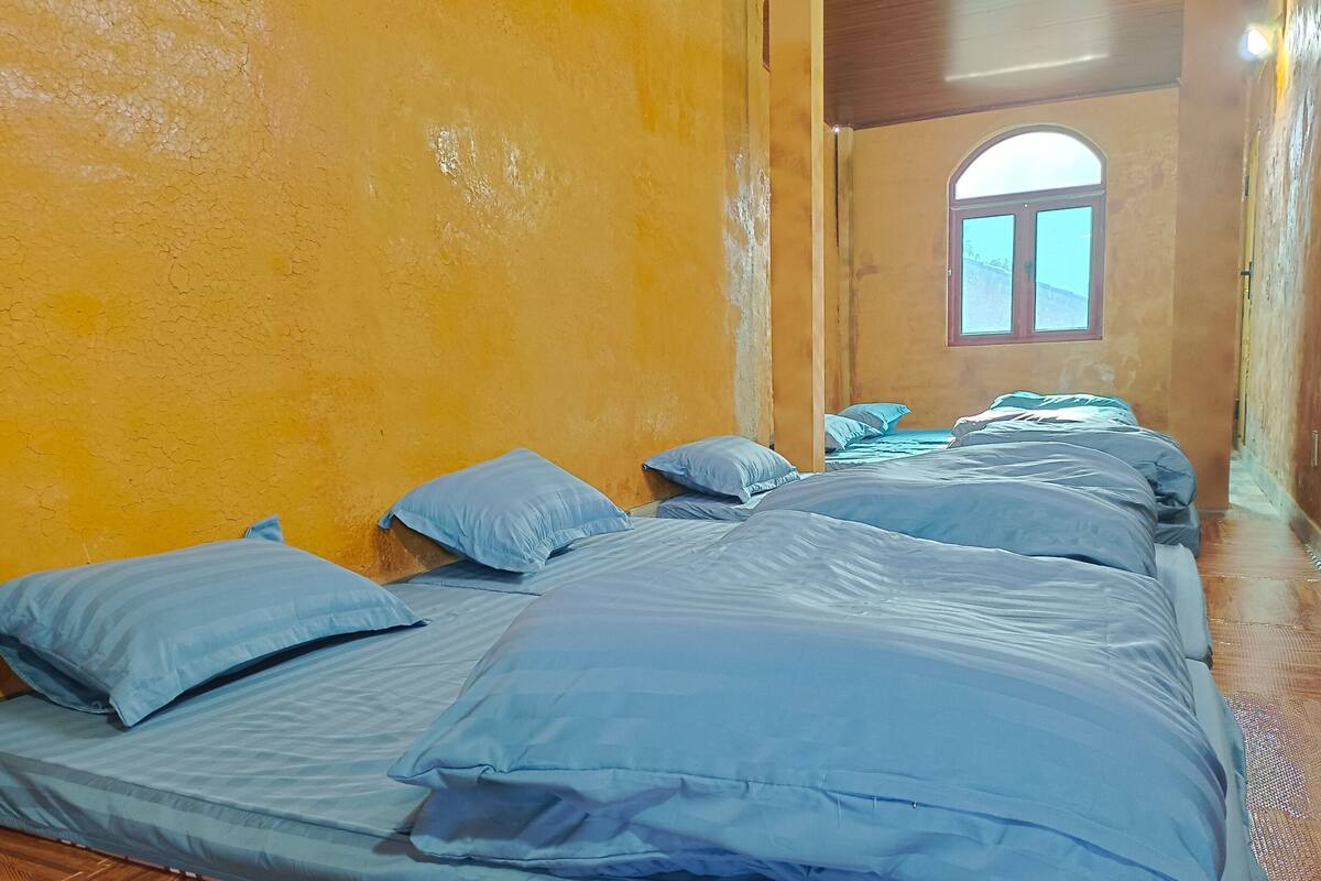 A room with multiple beds aligned against a yellow wall, a window with a view of the outside, and a wooden ceiling.