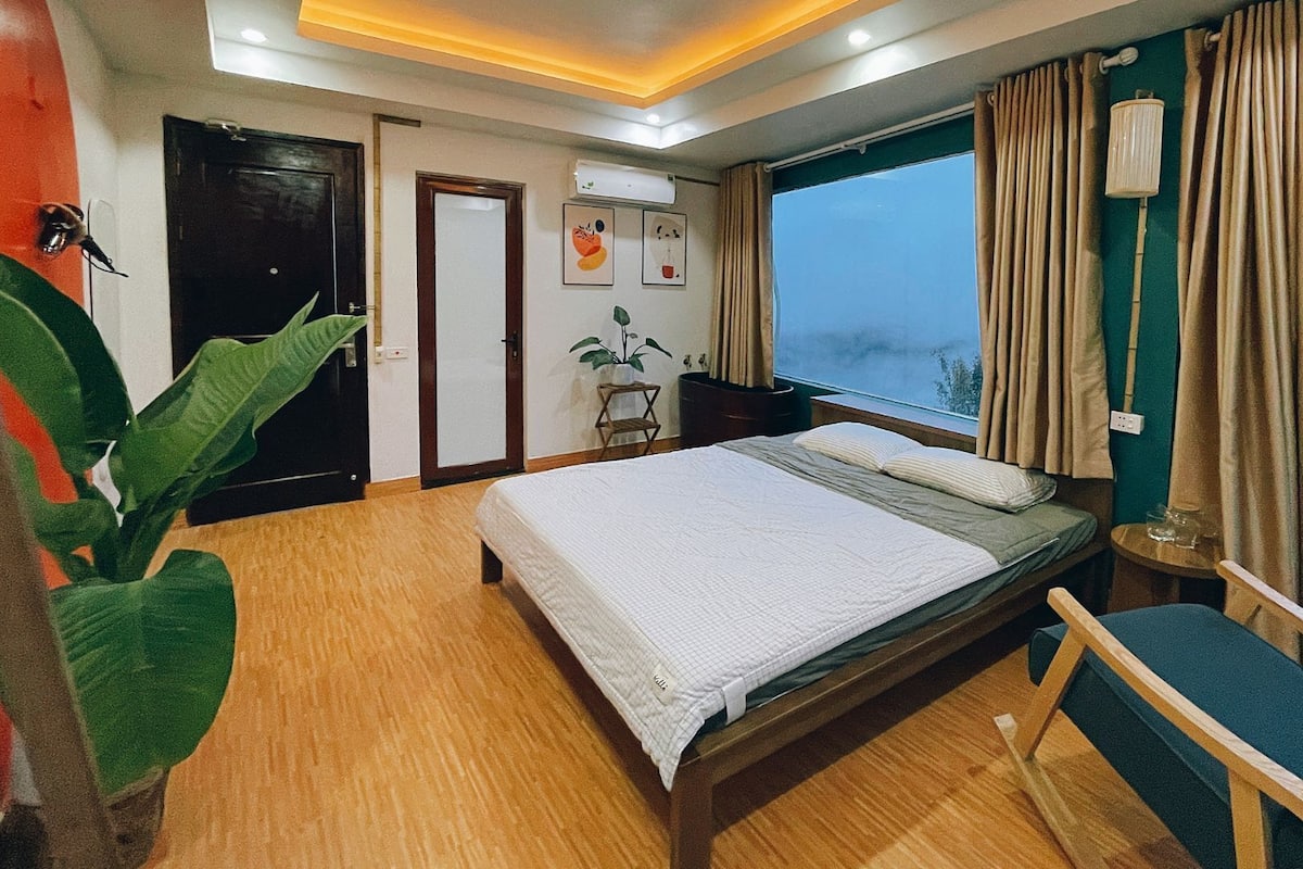 A hotel room with a bed, a chair, a window with curtains, a plant, and a door.