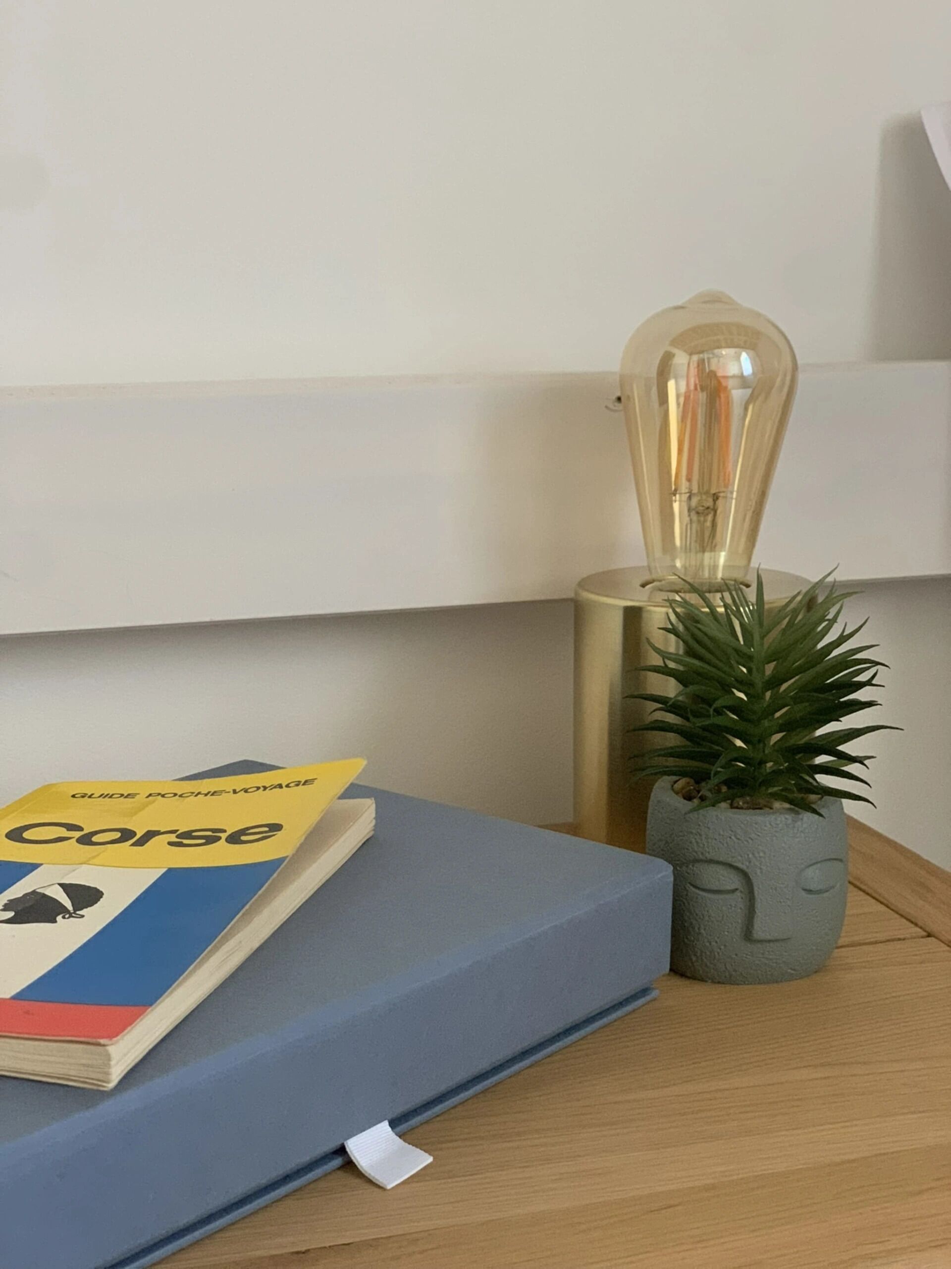 A book titled 'Guide Poche-Voyage Corse' on a blue cushion, a lamp with a clear glass shade, and a small potted plant on a wooden surface.