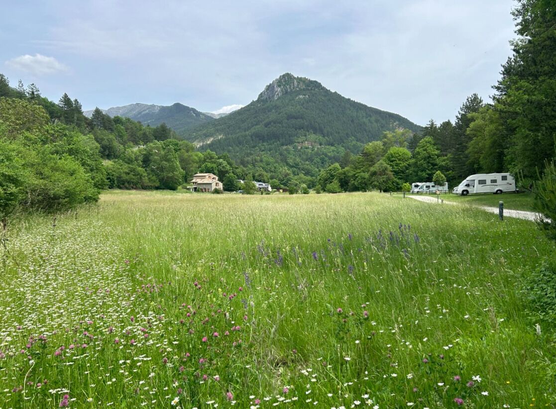 A grassy field with wildflowers, a mountain in the background, and a caravan parked on the right.