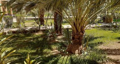 Serene retreat within palm grove and calm nature