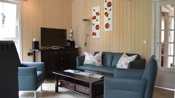 Televisión, chimenea, reproductor de DVD y estéreo