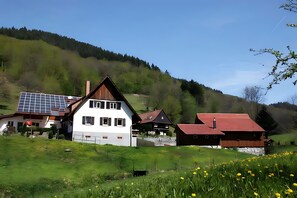 Exterior - Holiday Home 'Huber' with Mountain View, Shared Pool and Wi-Fi (Ohlsbach)