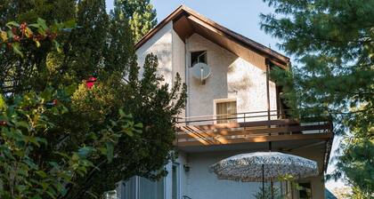 Ferienwohnung 'Nr 9' mit Bergblick und Balkon; weitere Hunde auf Anfrage