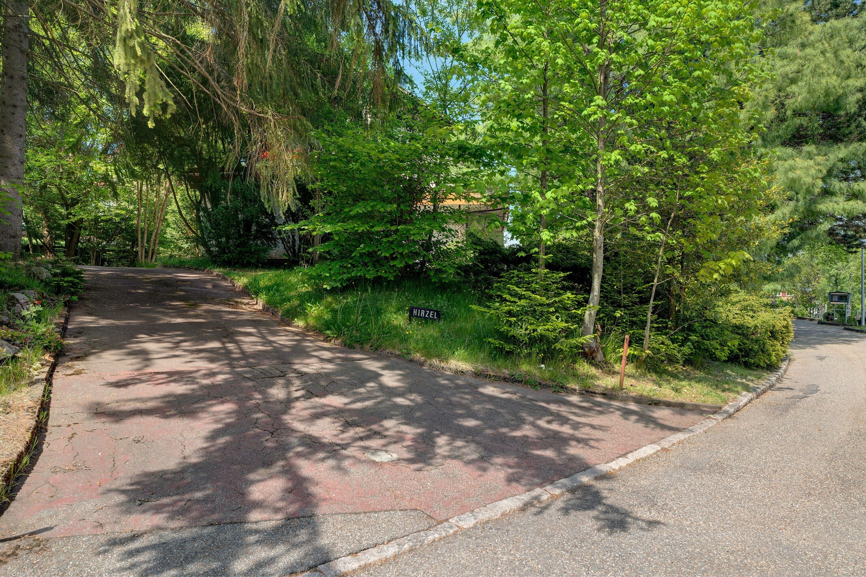 Een verhard pad met een bord waarop 'HIZEL' staat, omringd door weelderige begroeiing.