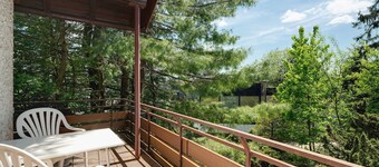 Appartement 'No. 7' avec vue montagne et balcon; chiens supplémentaires sur demande